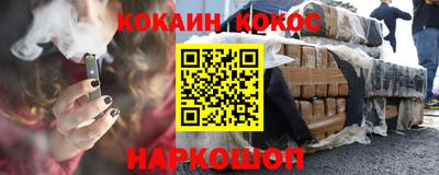 шишки Тара