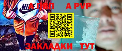 шишки Тара