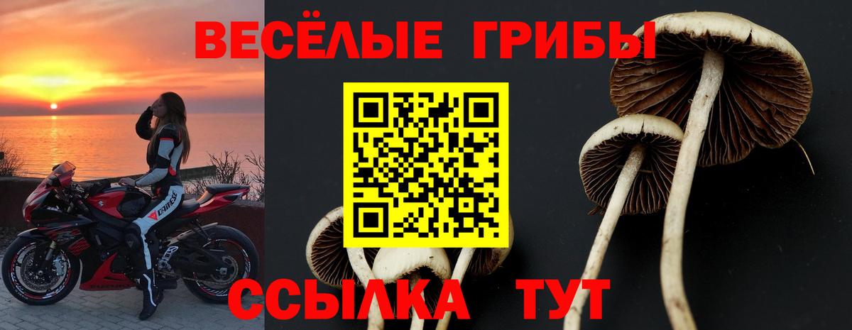 Псилоцибиновые грибы GOLDEN TEACHER Борисоглебск
